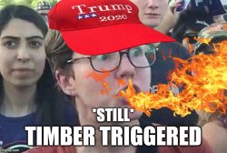 timber triggered fire Meme Template