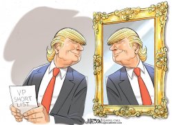 Trump mirror Meme Template