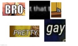 Bro that is pretty gay Meme Template