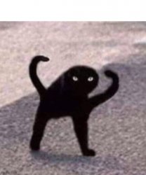 Creepy cat Meme Template