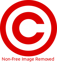Non Free image removed Meme Template