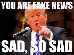Donald trump you are fake news Meme Template