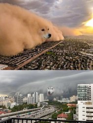 dust storm 2 panels Meme Template