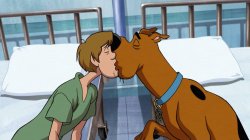 Scooby Don't Meme Template