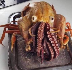 Turkeyoctopus Meme Template