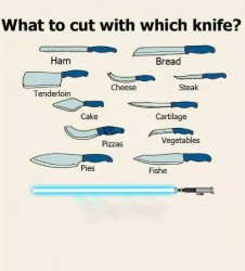 What to cut Meme Template