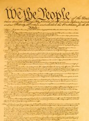 Constitution Meme Template