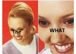 The... What Meme Template