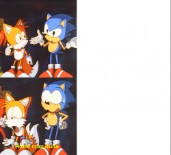Sonic says holee crap dude Meme Template