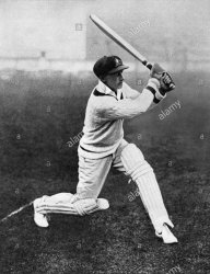 Don Bradman Meme Template