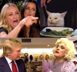 donald drag queen trump woman yelling at cat Meme Template