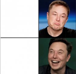 Elon approves Meme Template