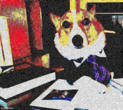 Lawyer corgi dog deep-fried Meme Template