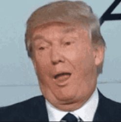 trump be like Meme Template