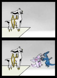 Arceus finds Dialga and Palkia Arguing Meme Template