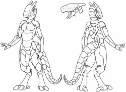 template Meme Template