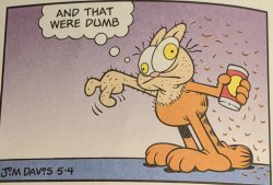 Garfield and that were dumb Meme Template