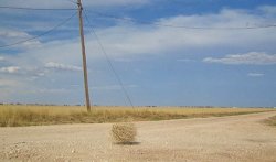 Tumbleweed Meme Template