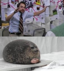 seal meme Meme Template