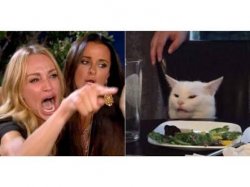 Cat angry lady Meme Template