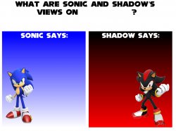 Sonic and Shadow views Meme Template