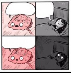 Brain No Sleep Meme Template