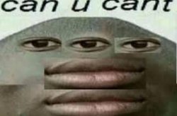 can you cant Meme Template