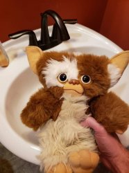 Gremlin Mogwai Meme Template