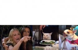 Woman Yelling At Cat (3 Panels) Meme Template