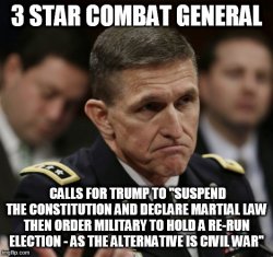 Flynn Meme Template