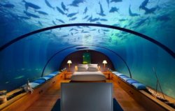 Underwater glass tank themed hotel room Meme Template