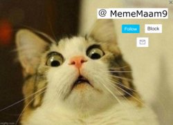 MemeMaam9's old announcement temlate Meme Template