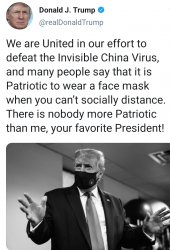 Trump face mask tweet Meme Template