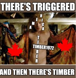 timber1972 triggered Meme Template