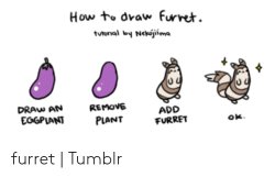 How to draw a Furret Meme Template