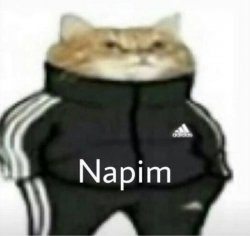 Napim Meme Template