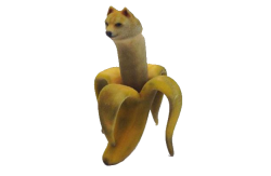 Doge banana transparent Meme Template