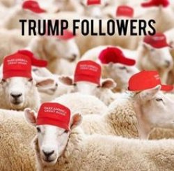 Trump followers sheeple Meme Template