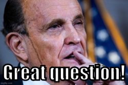 Rudy Giuliani great question Meme Template