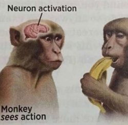 Neuron Activation Meme Template