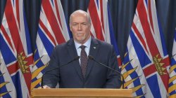 John Horgan Meme Template