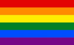 LGBTQ Flag Meme Template