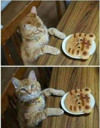 Cookie Cat Meme Template