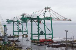 Port of Everett crane Meme Template
