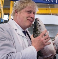 Boris fish Meme Template