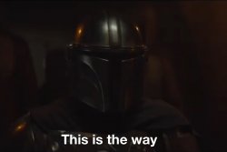 This is the way Meme Template