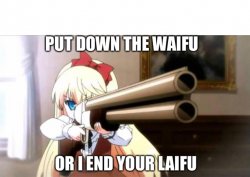 Put down the waifu Meme Template