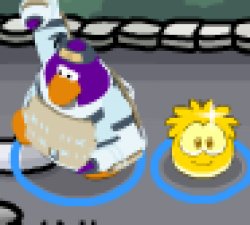 ninja penguin with puffle Meme Template