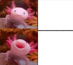 axolotl drake Meme Template