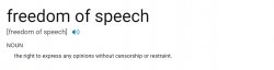Freedom of speech definition Meme Template